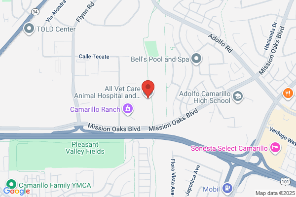 Pet Headquarters Veterinary - Samuel Thomas DVM