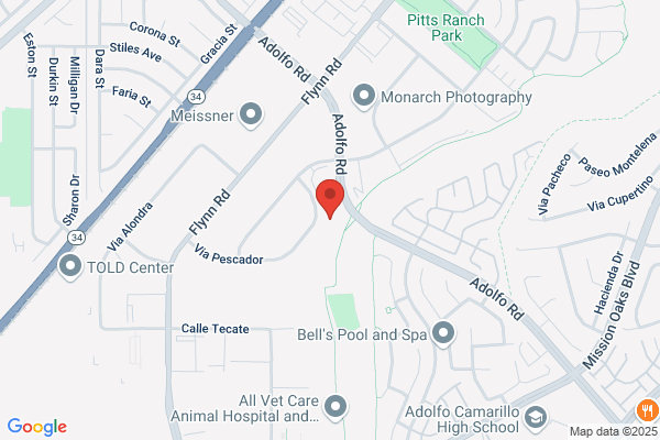 Adolfo Self Storage