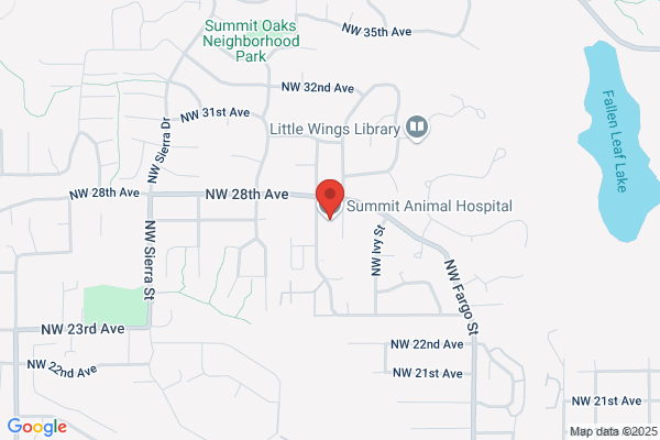 Summit Animal Hospital