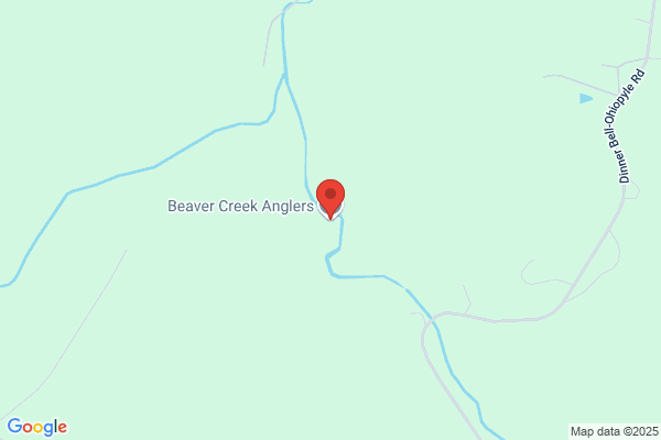 Fishing Creek Angler
