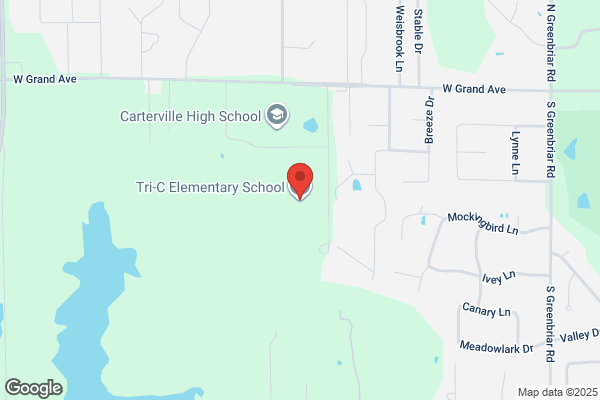 Tri C Systems Inc