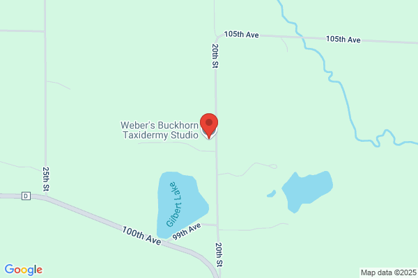 Evergreen Taxidermy Studio