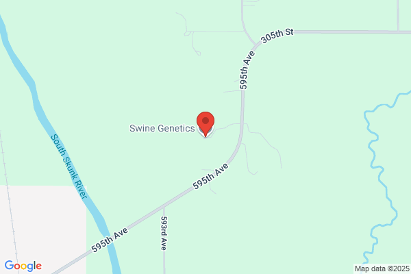 Swine Genetics