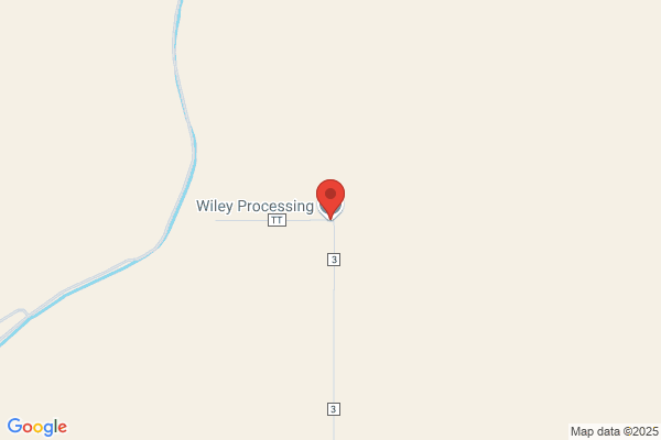 Wiley Processing