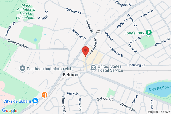 Quick Lift Garage Door Repair of Belmont