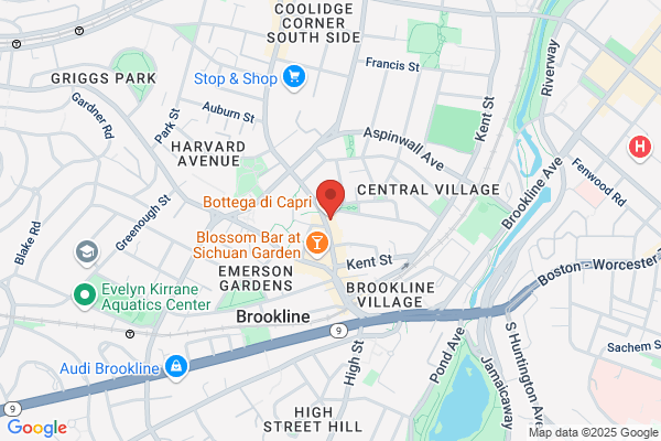 Village Insurance Agency