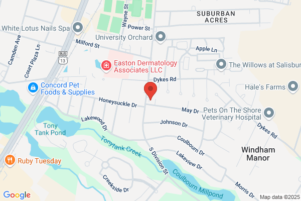 MacLaughlin Edmund J MD