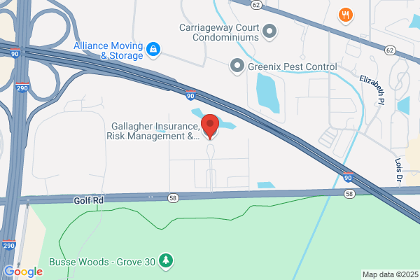 Risk Placement Services