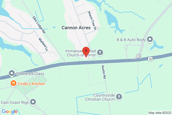 Cambridge Gun Repair
