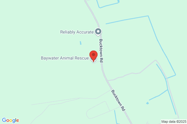Humane Society of Dorchester Co Inc