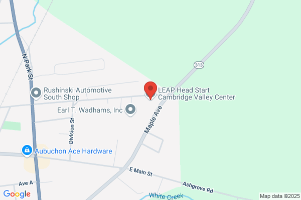 Cambridge Valley Center