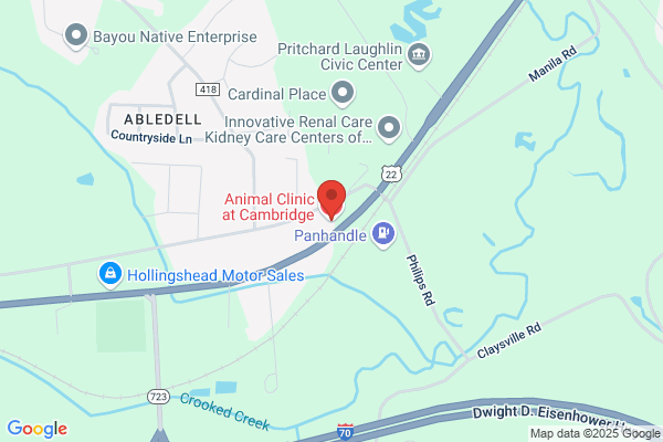 Animal Clinic at Cambridge