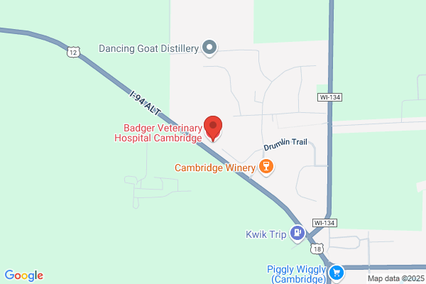Taylor Riley - Cambridge Animal Hospital