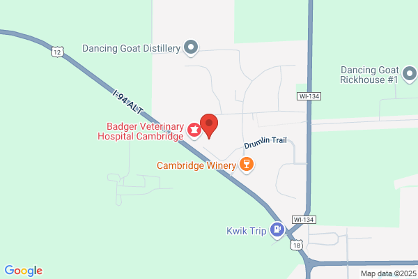Cambridge Family Dental