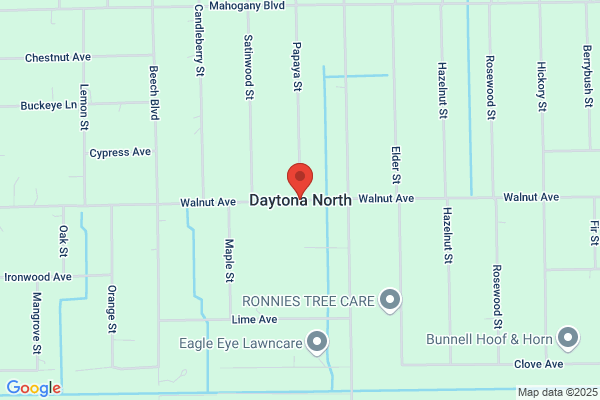 Daytona North