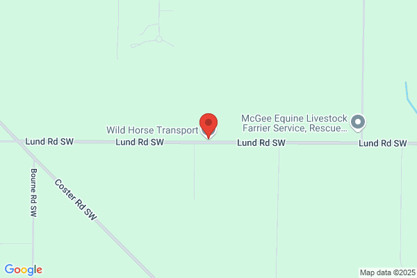 Wild Horses Trucking