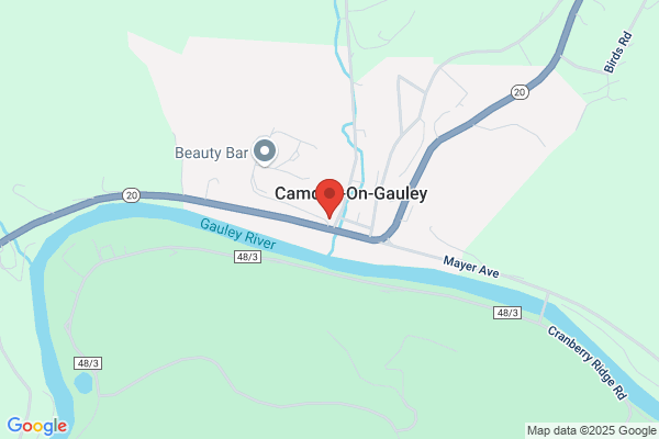 Town of Camden On Gauley