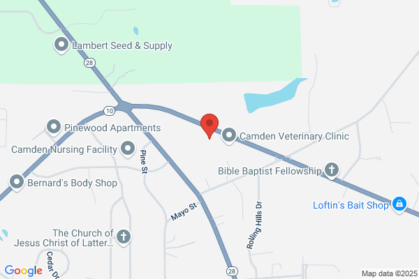 Fresenius Kidney Care Wilcox County