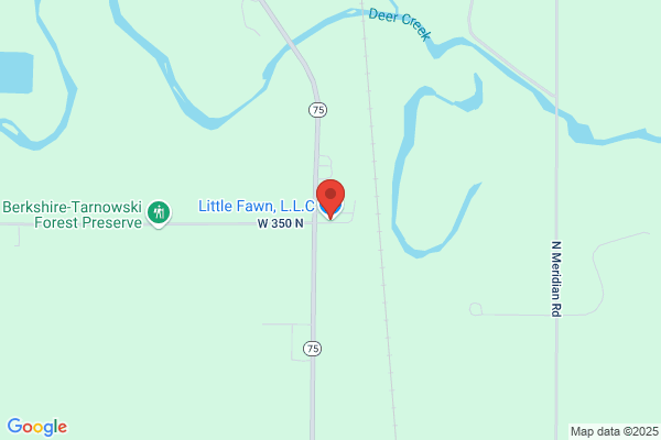 Little Fawn, L.L.C.