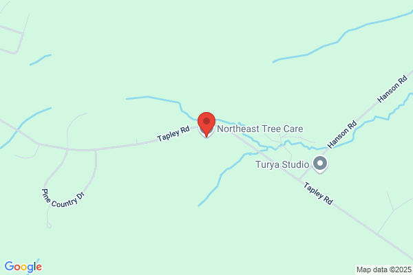 Northeast Tree Service