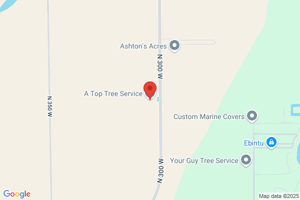 Angola  Tree Service