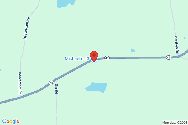 Michaels 43