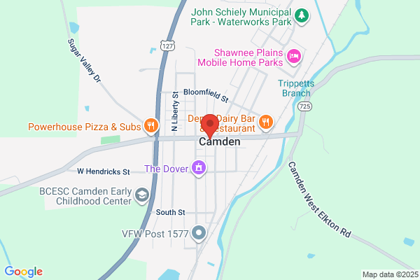 Ron's Pizza