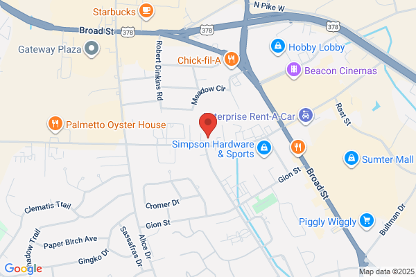 Palmetto Cash Express