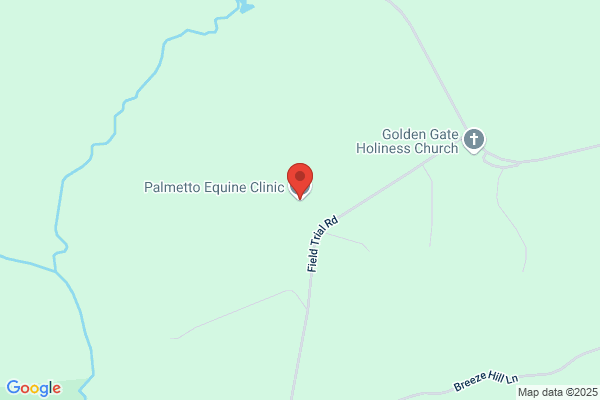 Palmetto Equine Clinic