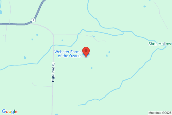 Webster Plumbing Inc.