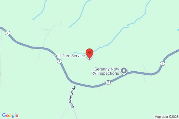 Colt Tree Service LLC