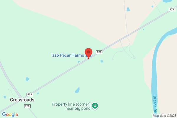 Izzo Pecan Farm