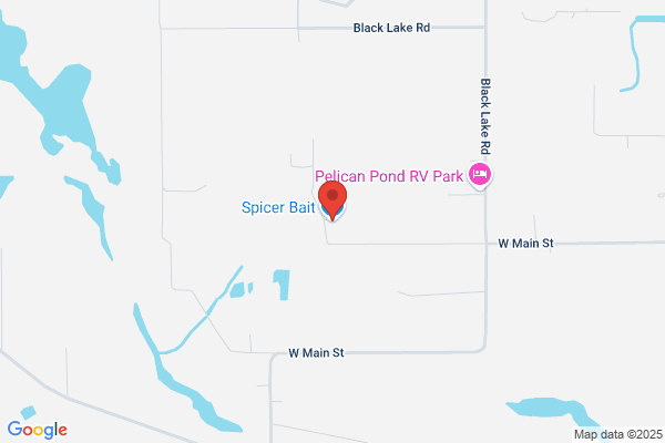 Spicer Bait Co