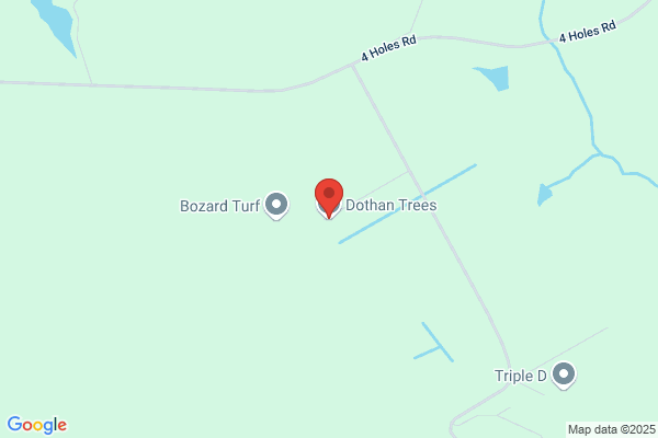 Dothan Trees