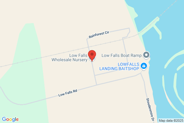 Low Falls Wholesale Nursery