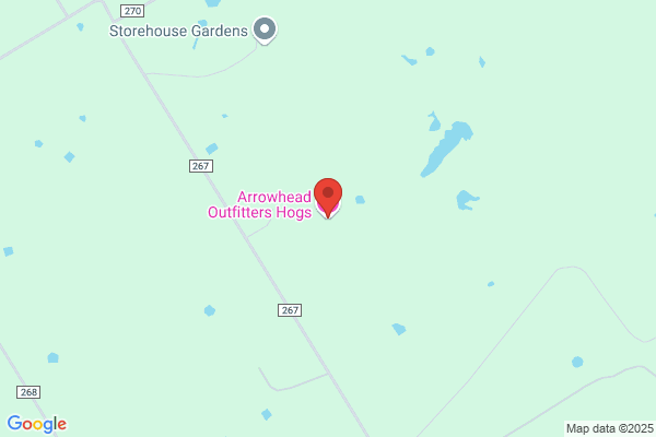 Arrowhead Outfitters Hogs LLC