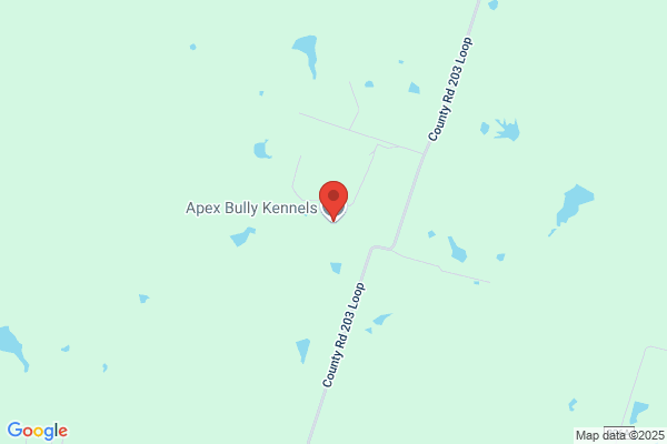 Elley's Kennels
