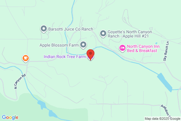 Indian Rock Tree Farm