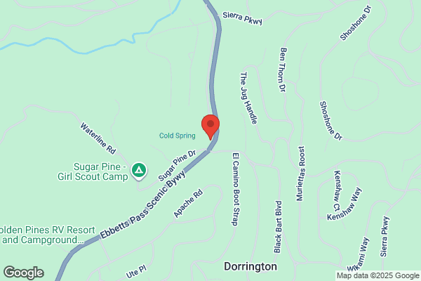 Dorrington Inn At Big Trees