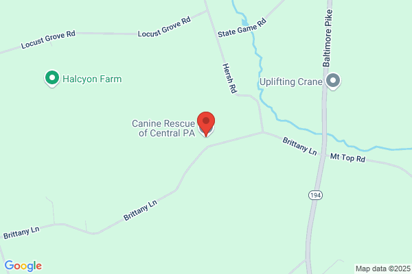 Canine Rescue of Central Pennsylvania
