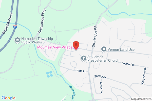 Mountain View Village
