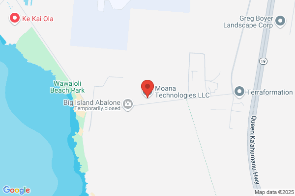 Moana Technologies Llc