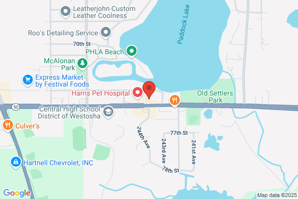 Paddock Lake Pet Services