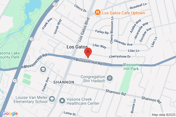 Young Naturopathic Center for Wellness