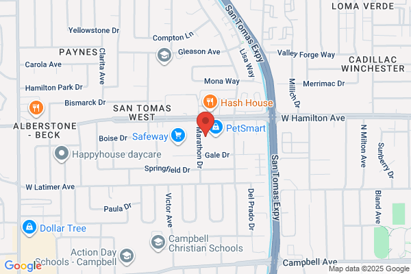 Bay Area Disc Centers