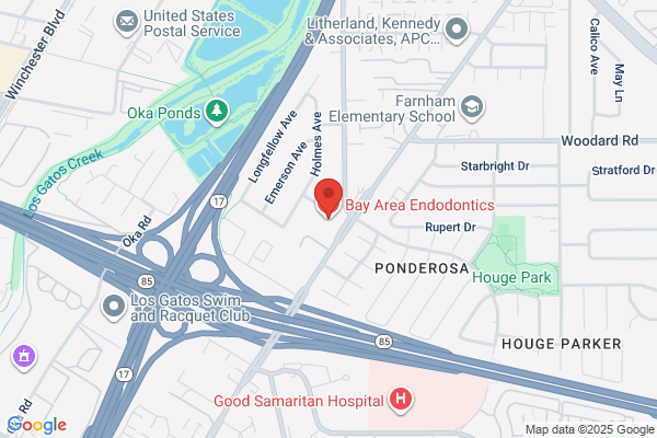 Bay Area Endodontics