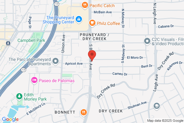 Serendipity of Los Gatos