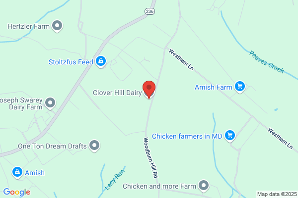 Clover Hill Dairy