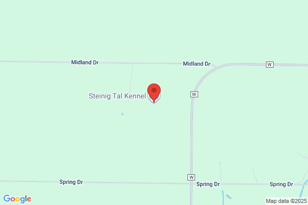 Steinig Tal Kennel