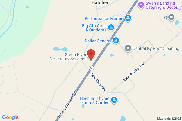 Green River Veterinary Services